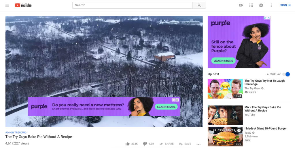 purple-youtube-display-ads