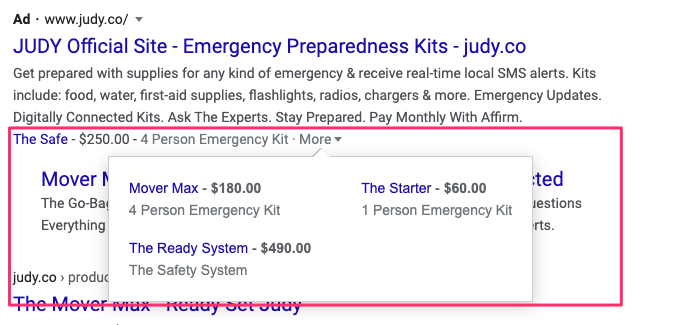 judy-google-search-ad-example-3