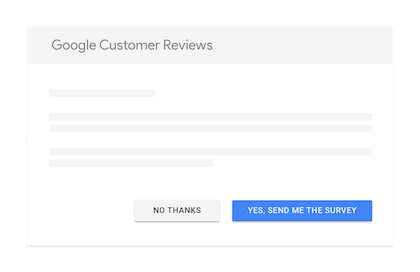 google-customer-review-survey-example