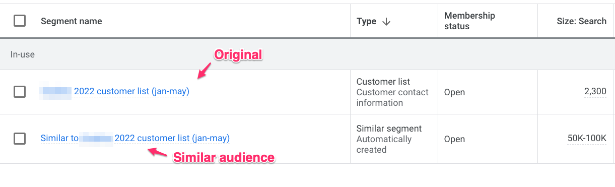 customer match similar audience example