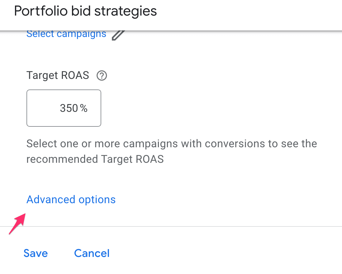 google portfolio bid strategy advanced options
